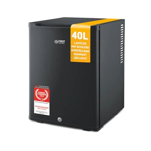 TZS Mini Kühlschrank 40L abschließbar